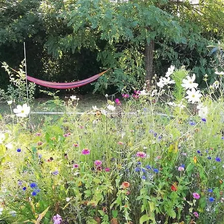 Paysannerie Des Versanes - Et ゲストハウス ツール・ド・フォーレ