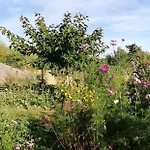 Paysannerie Des Versanes - Et A La Ferme