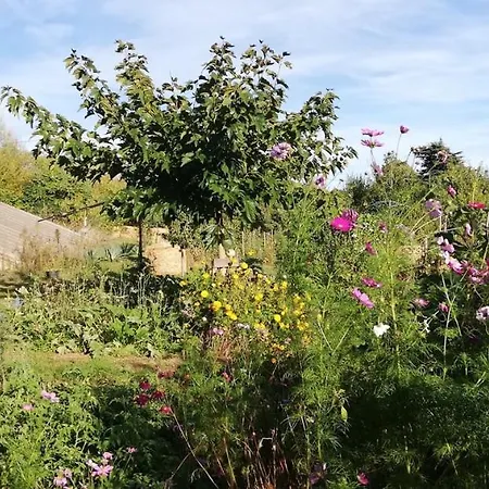 Paysannerie Des Versanes - Chambre Et Gite A La Ferme