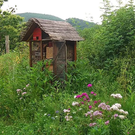 Gæstehus Paysannerie Des Versanes - Chambre Et Gite A La Ferme Tour-de-Faure