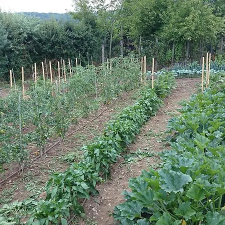 Gæstehus Paysannerie Des Versanes - Chambre Et Gite A La Ferme Tour-de-Faure