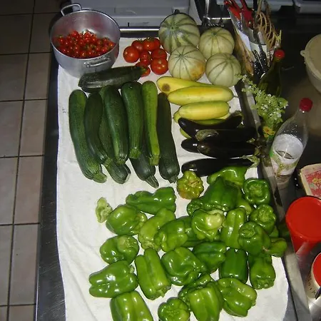 Paysannerie Des Versanes - Chambre Et Gite A La Ferme Tour-de-Faure