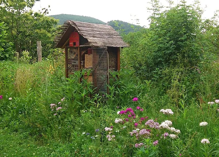 Affittacamere Paysannerie Des Versanes - Et à La Ferme Tour-de-Faure