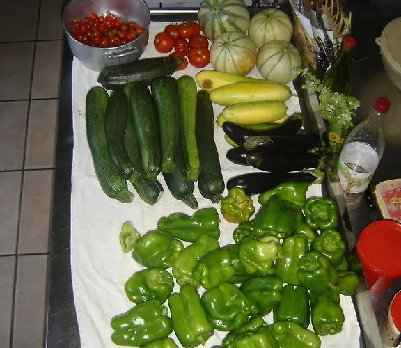 Paysannerie Des Versanes - Et à La Ferme Tour-de-Faure